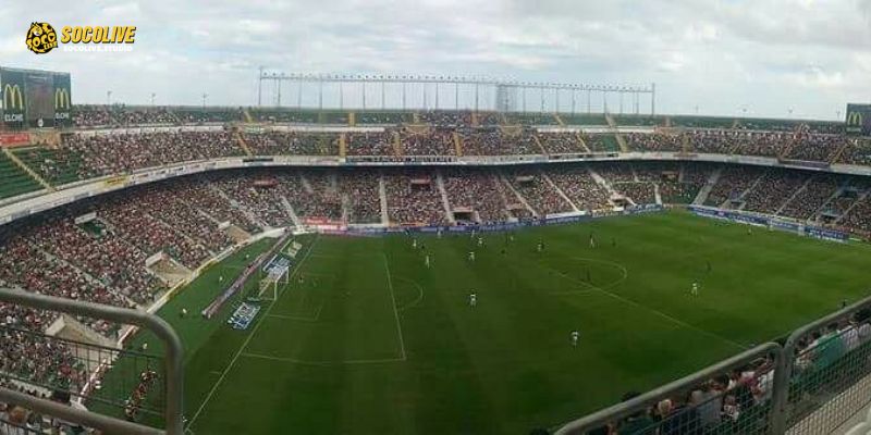 Sân nhà tiếp thêm động lực cho Elche – nhưng Real Madrid vẫn được đánh giá cao hơn